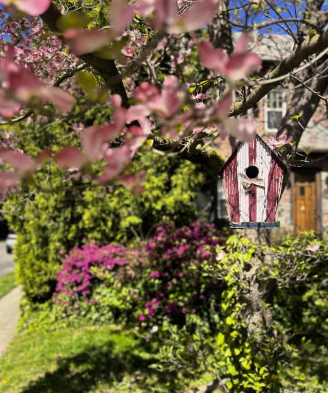 Sunny with a high of 75